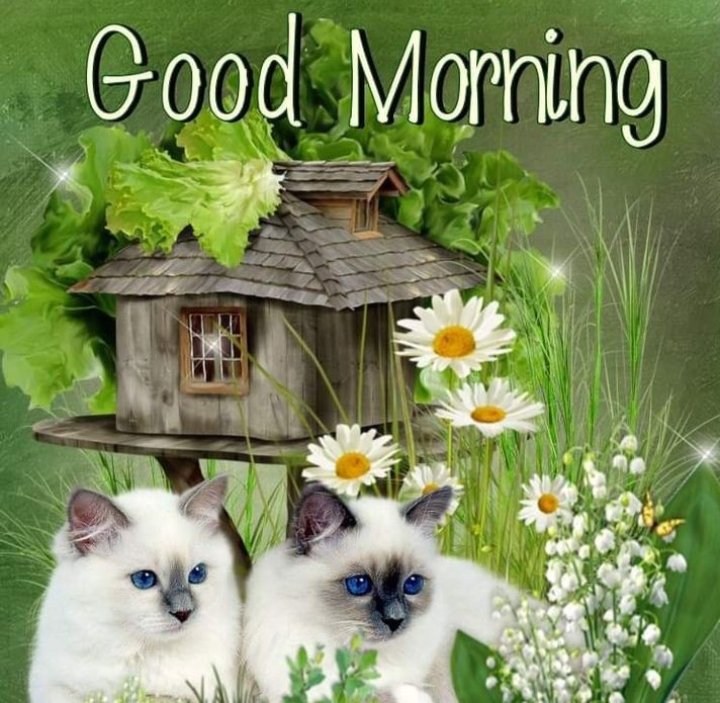 airen 🌸 tweet media