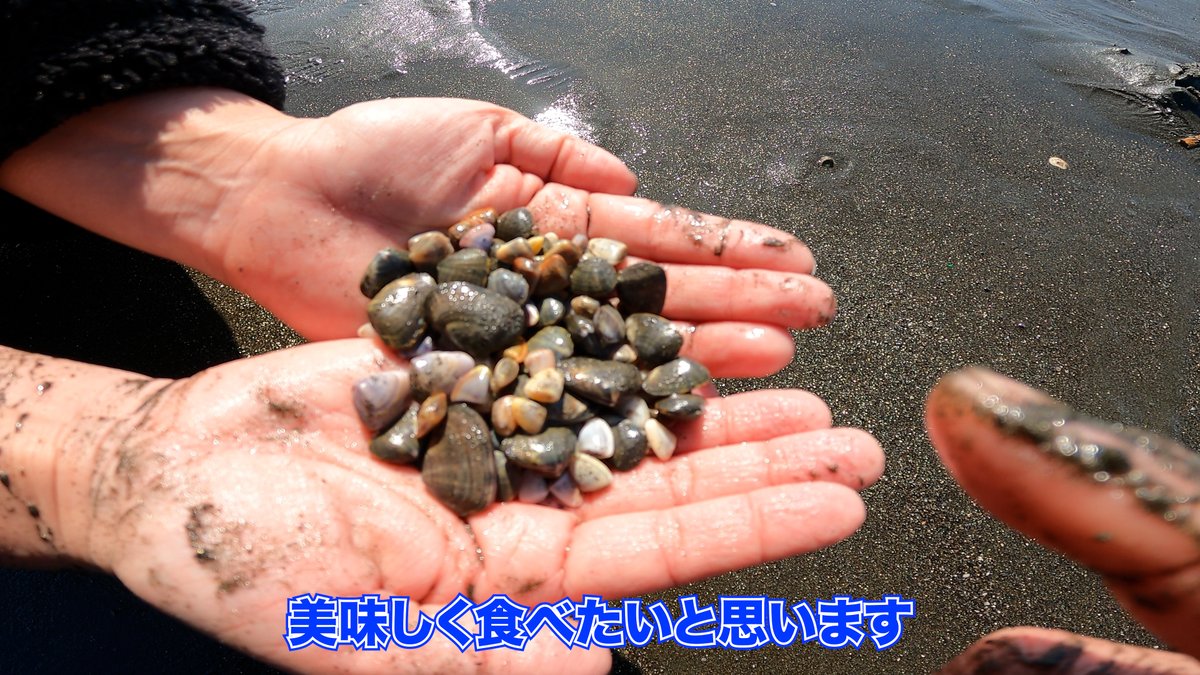 ちーとん。 tweet media