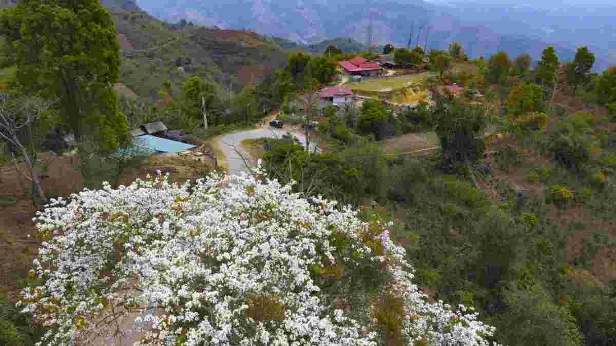 Hans Solo tweet media