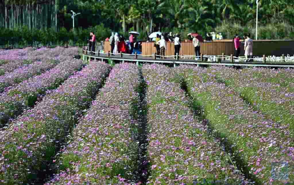 Hans Solo tweet media