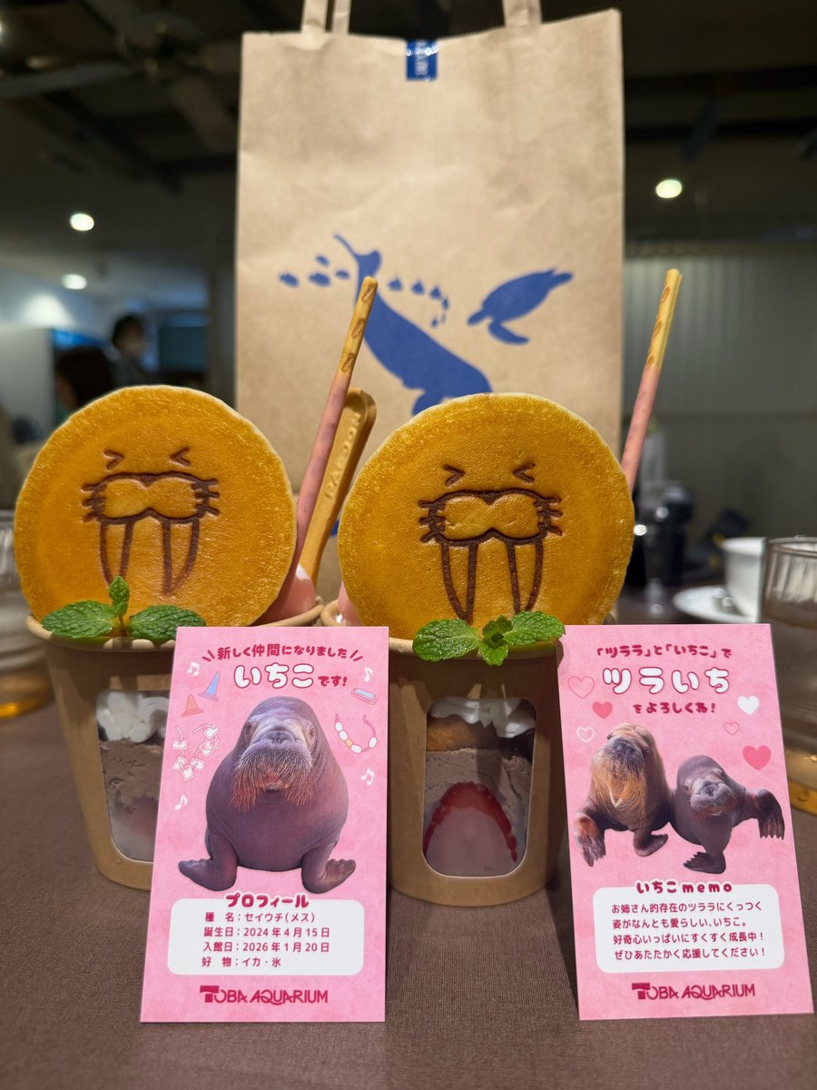 𝘁𝗮𝗿𝗮 tweet media