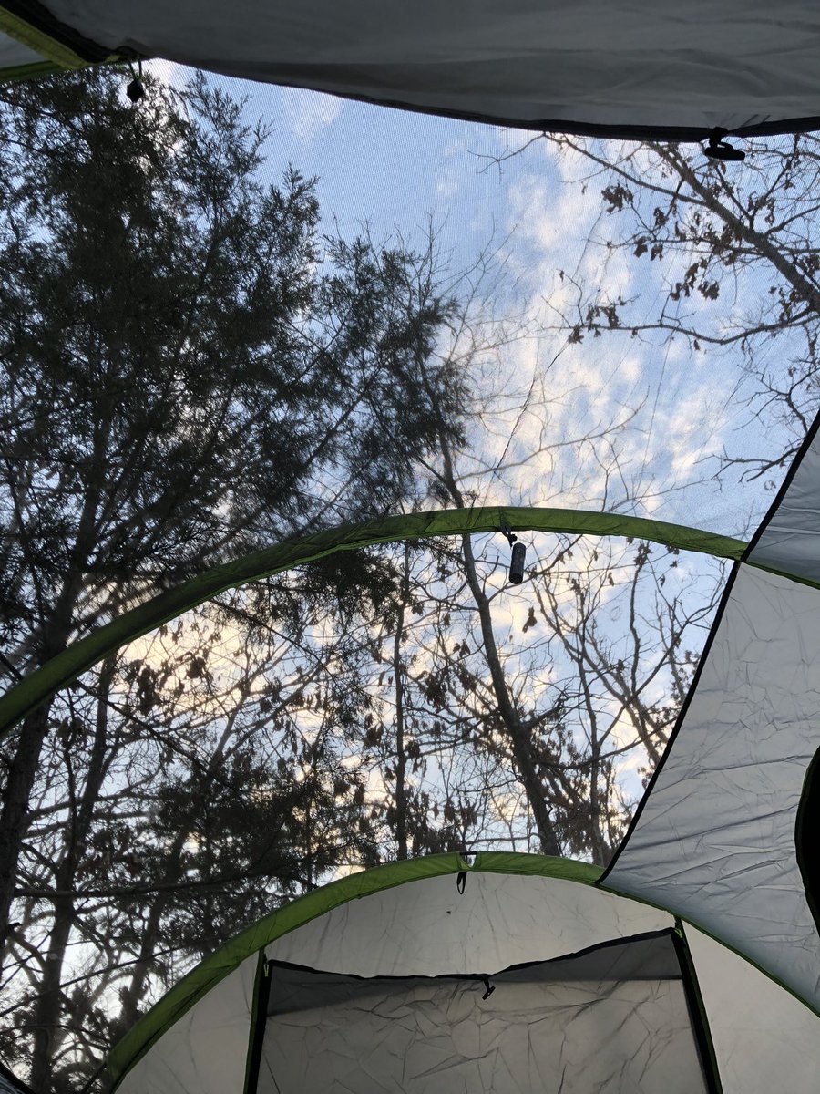 k e l a .𖥔 ݁ tweet media