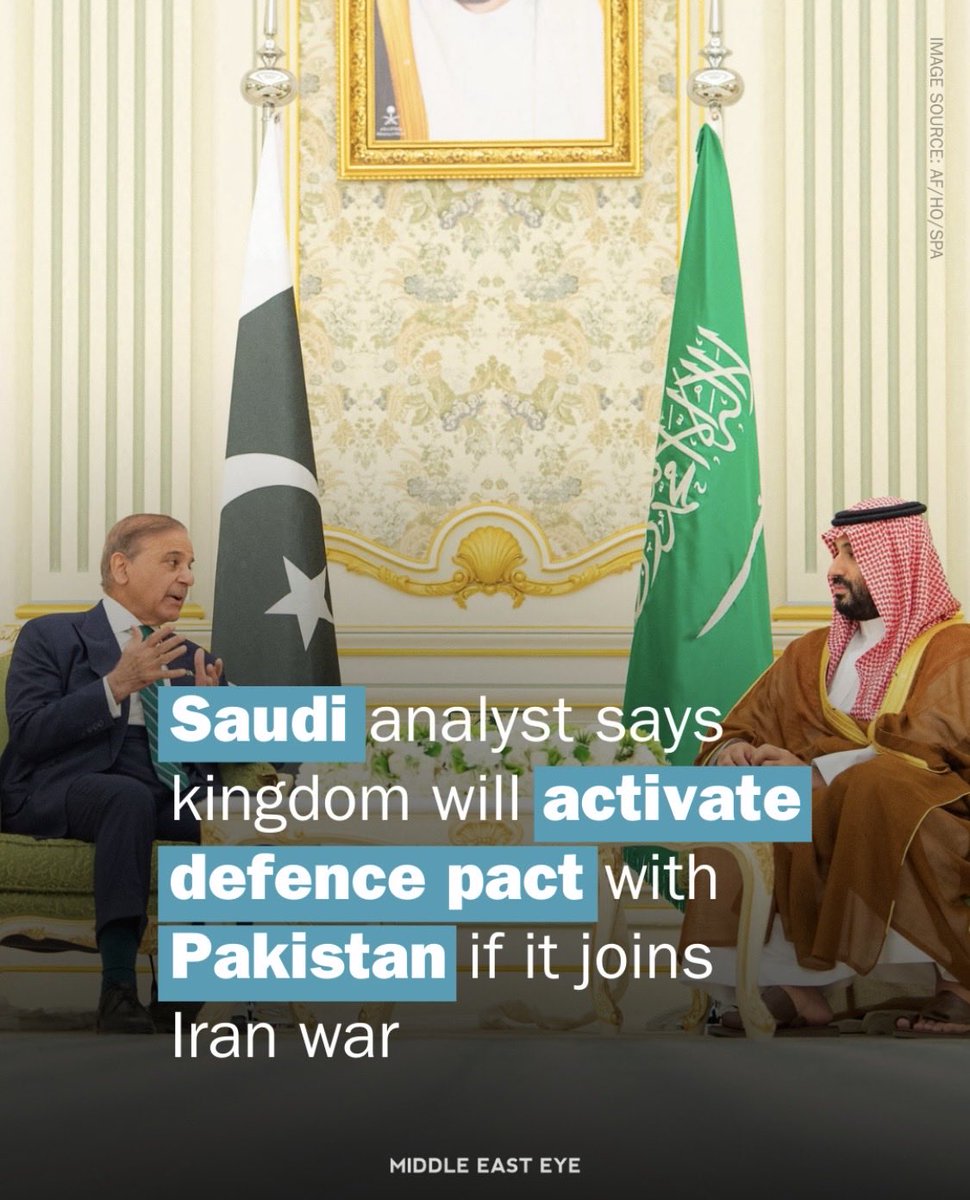 Earth Hippy 🌎🕊️💚 tweet media