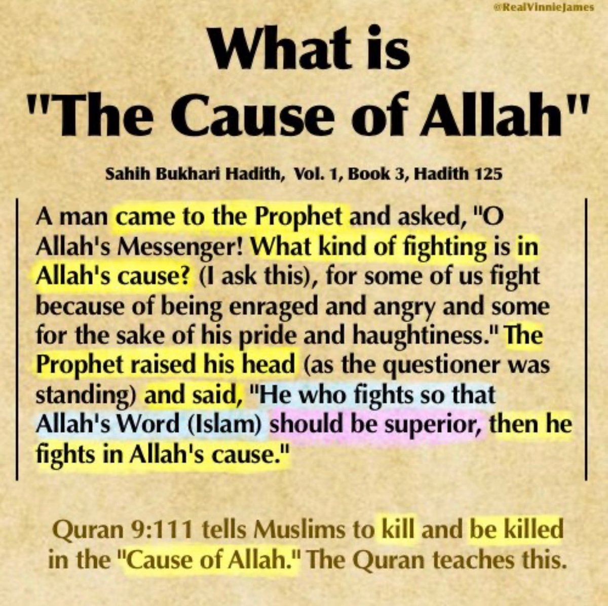 RealVinnieJames tweet media