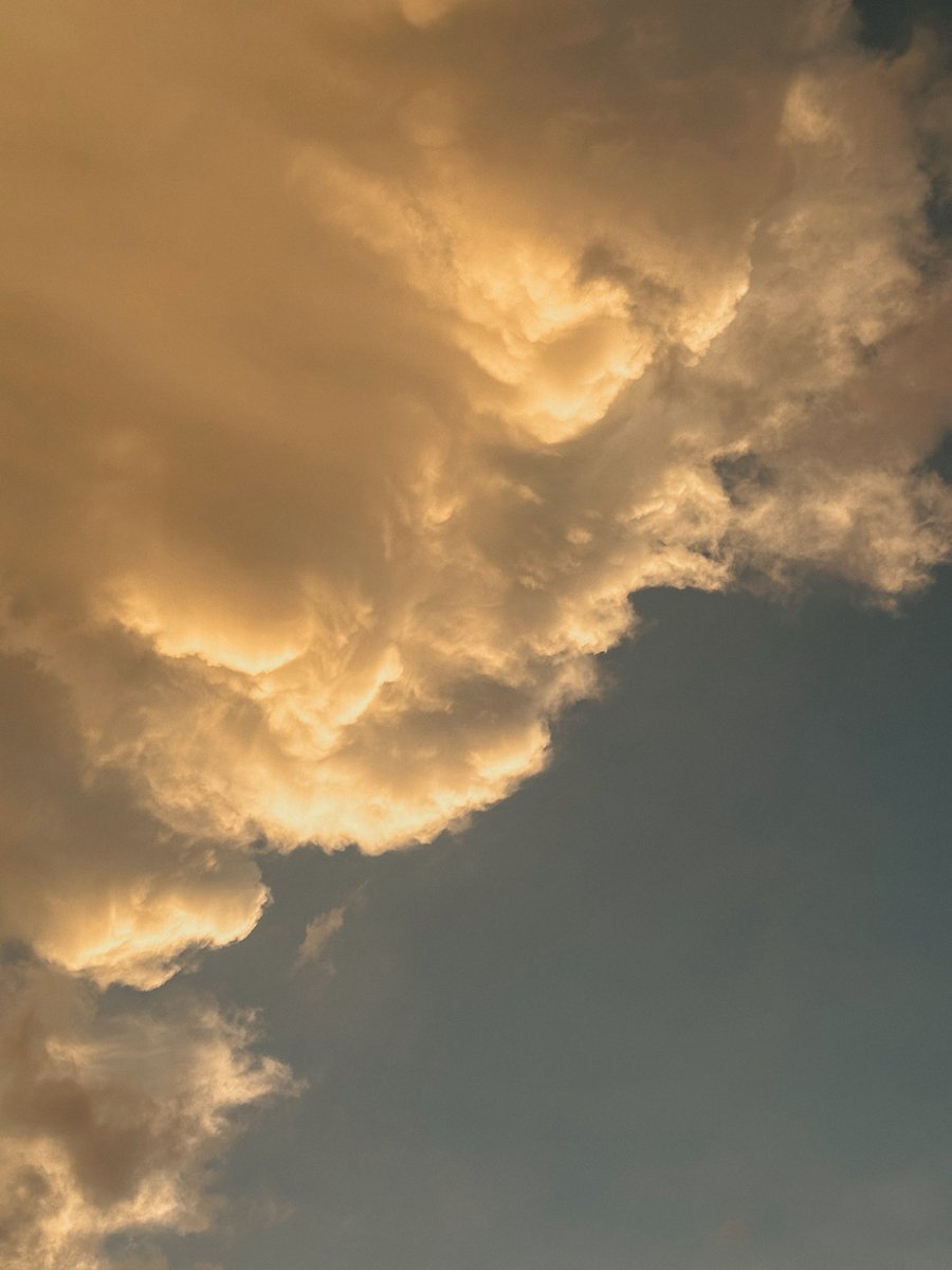 โยคาพรามูลา tweet media