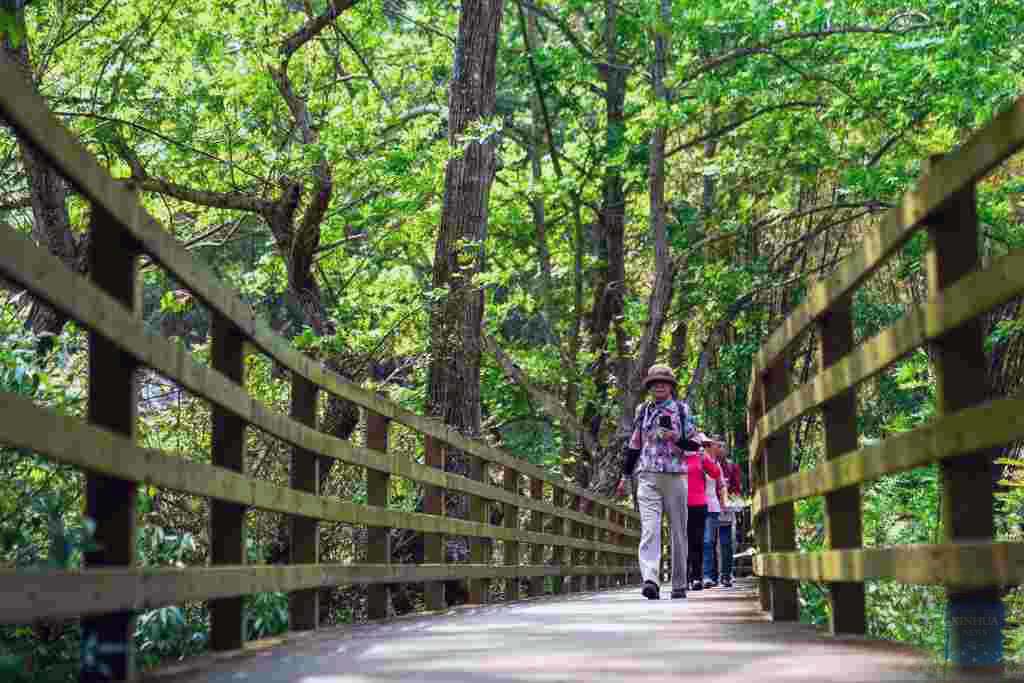 Hans Solo tweet media