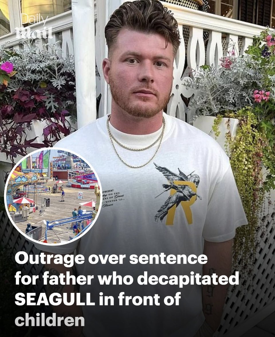 PROTECT ALL WILDLIFE tweet media