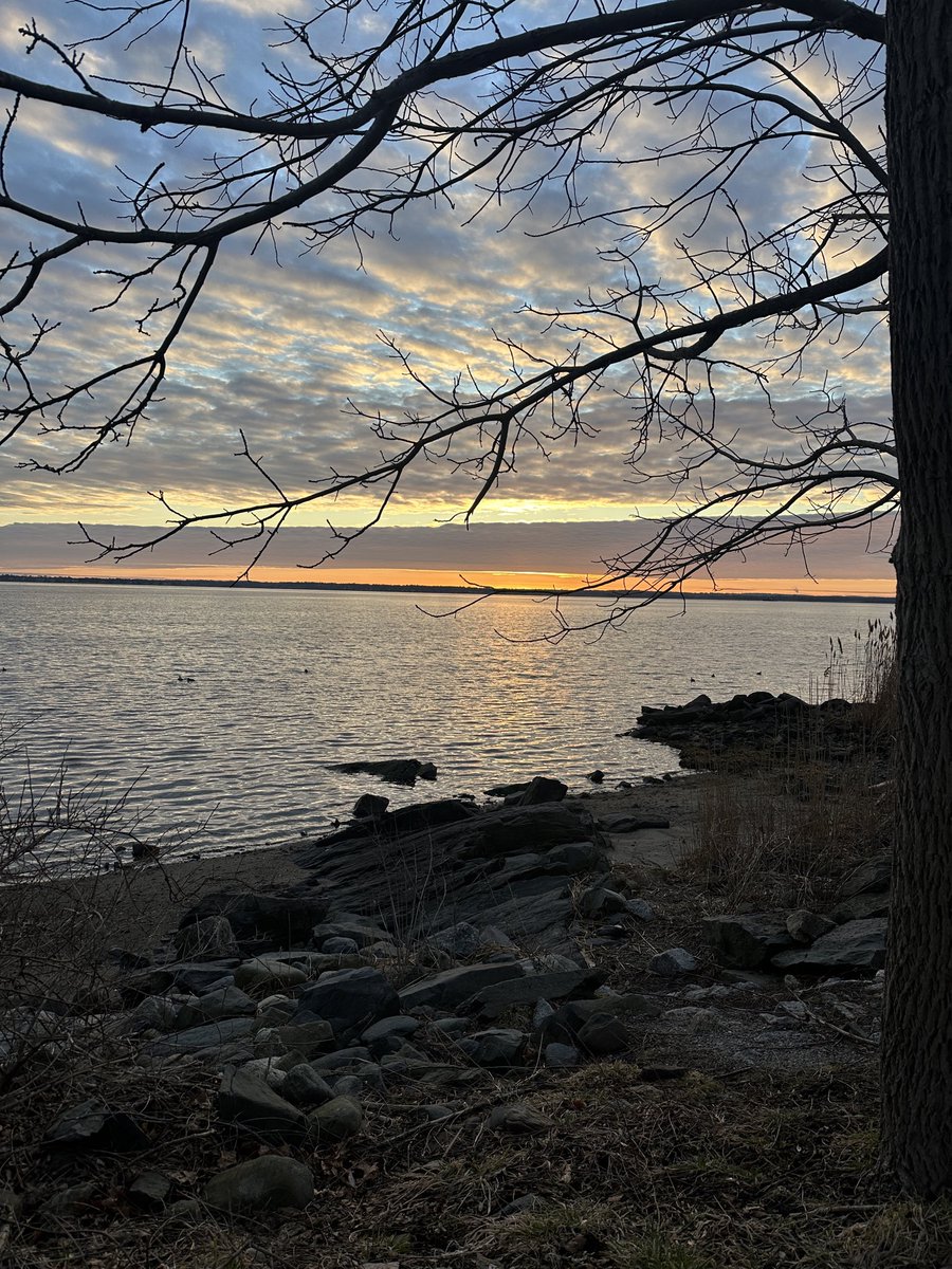 Ryron Gracie tweet media