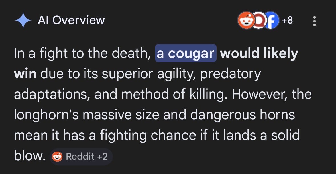 Brandon Borget tweet media