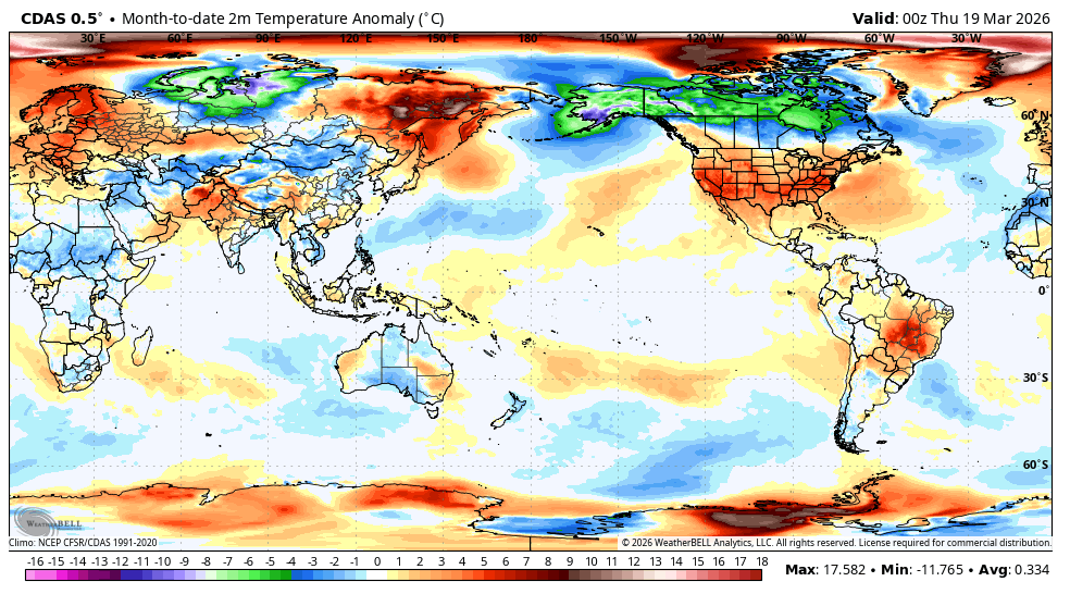 The American Storm tweet media