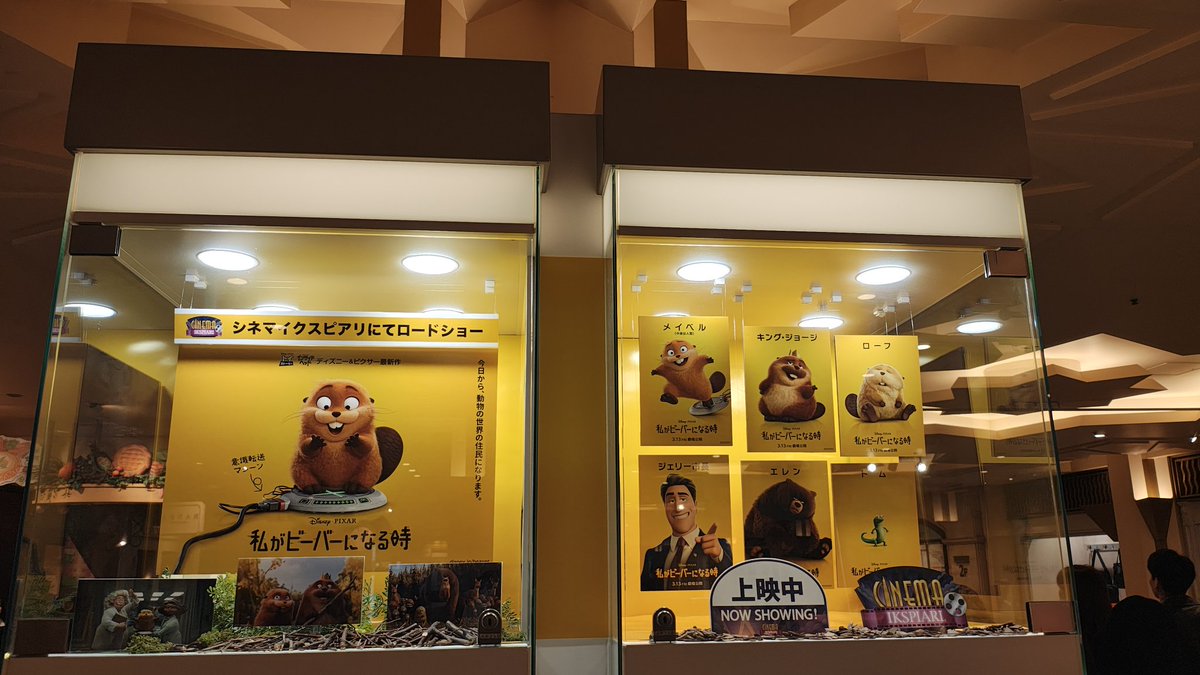 jikkai1984's tweet photo. 🦫🦫🦫🪵🪵🪵♥♥♥ https://t.co/ELrobSUwig