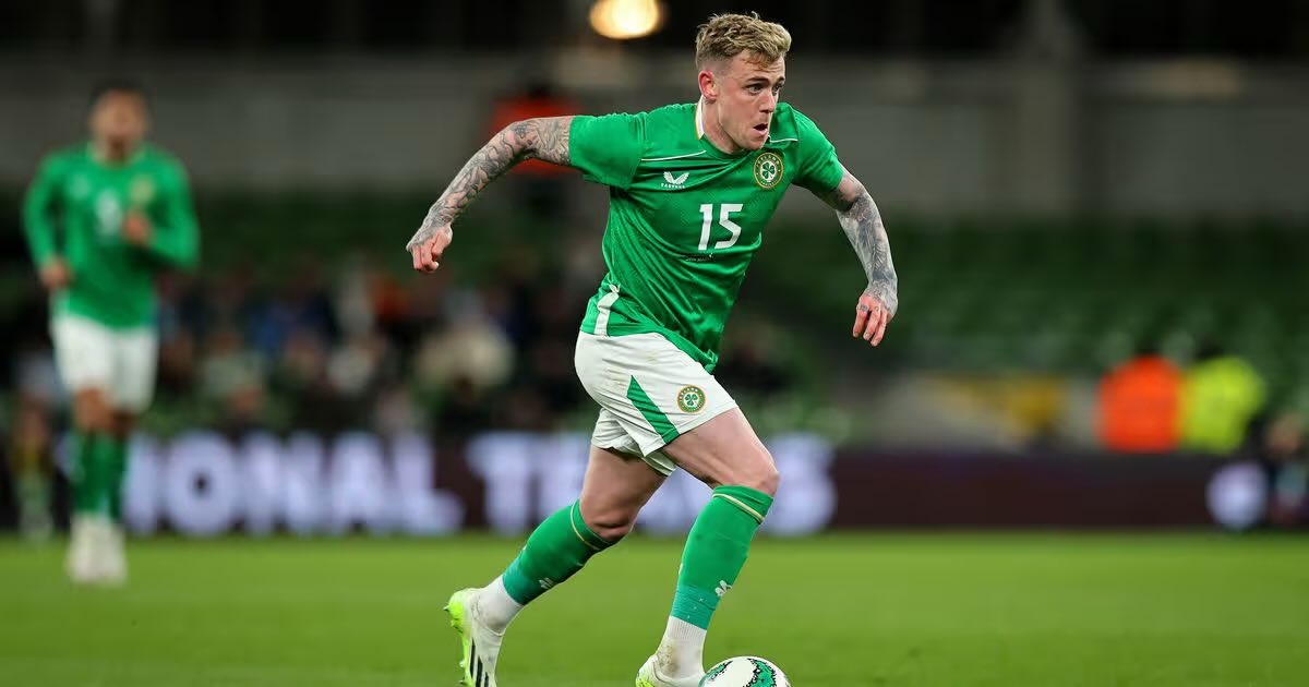 IFB Media tweet media