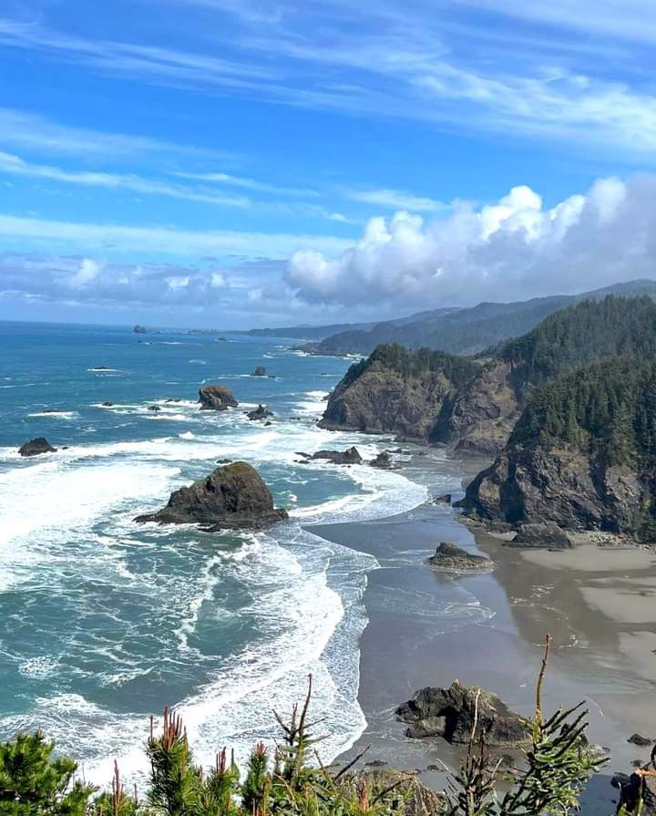 Aleksandar Mitrovic tweet media