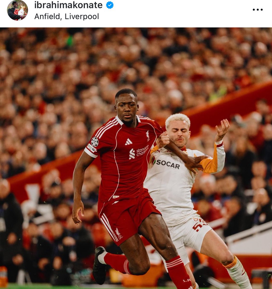 amortentia tweet media