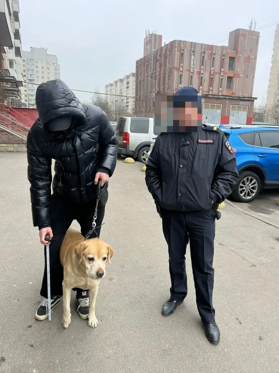 Дикий Петербург tweet media