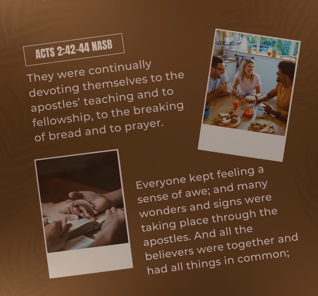 Susan Borg tweet media