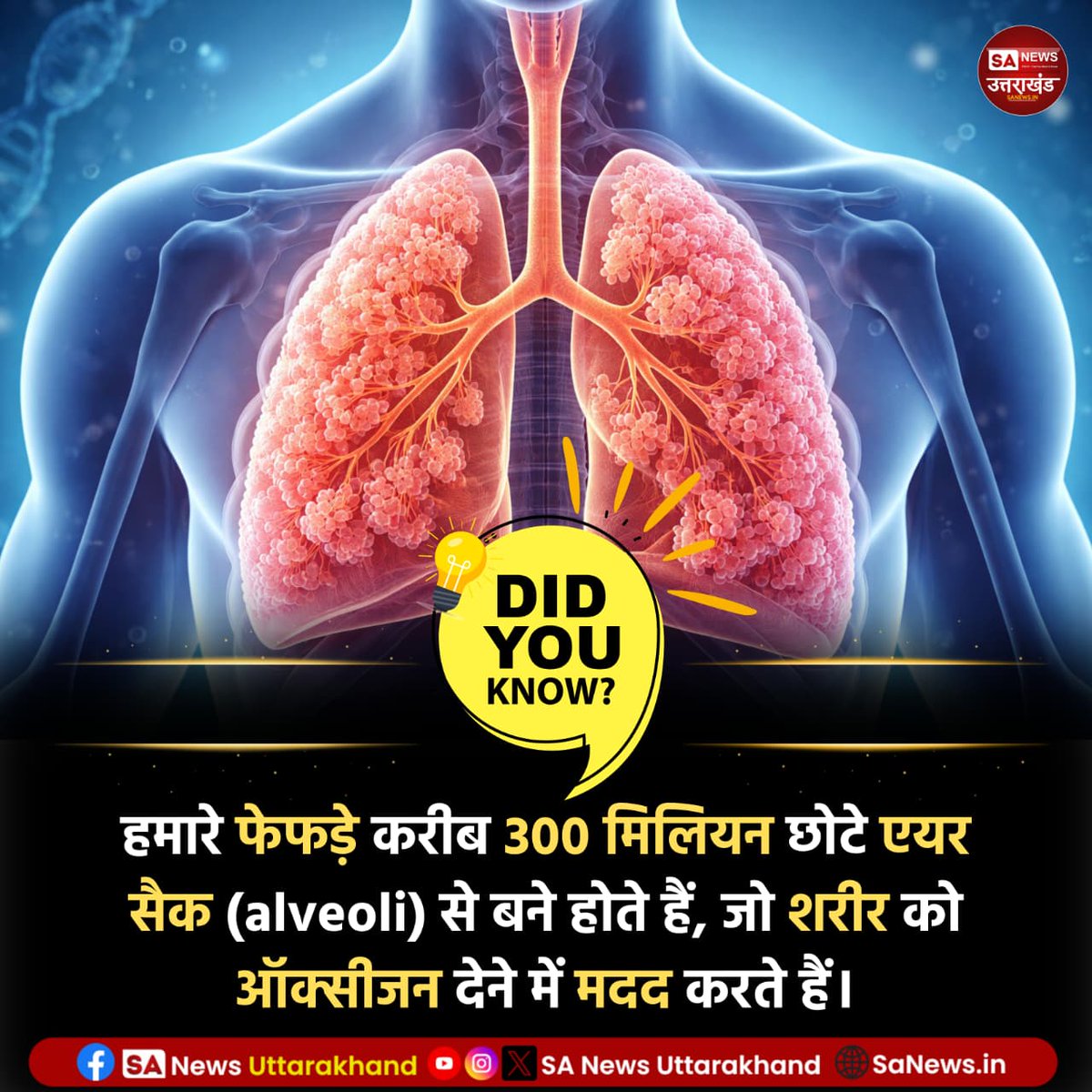 SANewsUK's tweet image. क्या आप जानते है?🤔

हमारे फेफड़े करीब 300 मिलियन छोटे एयर सैक (alveoli) से बने होते हैं, जो शरीर को ऑक्सीजन देने में मदद करते हैं।
.
.
19 March 2026
.
.
#amazingfact 
#sanewsuttarakhand