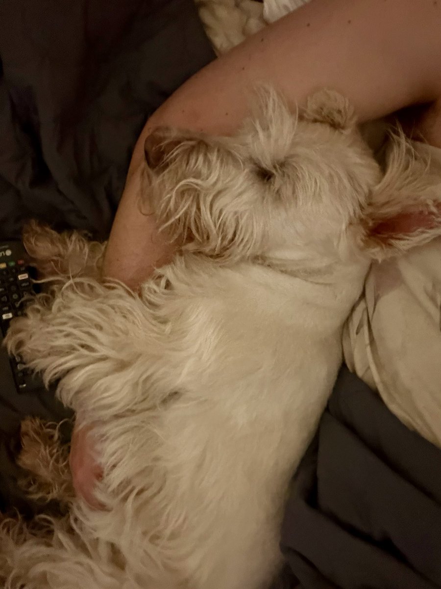 Mark Littlewood-Smart tweet media