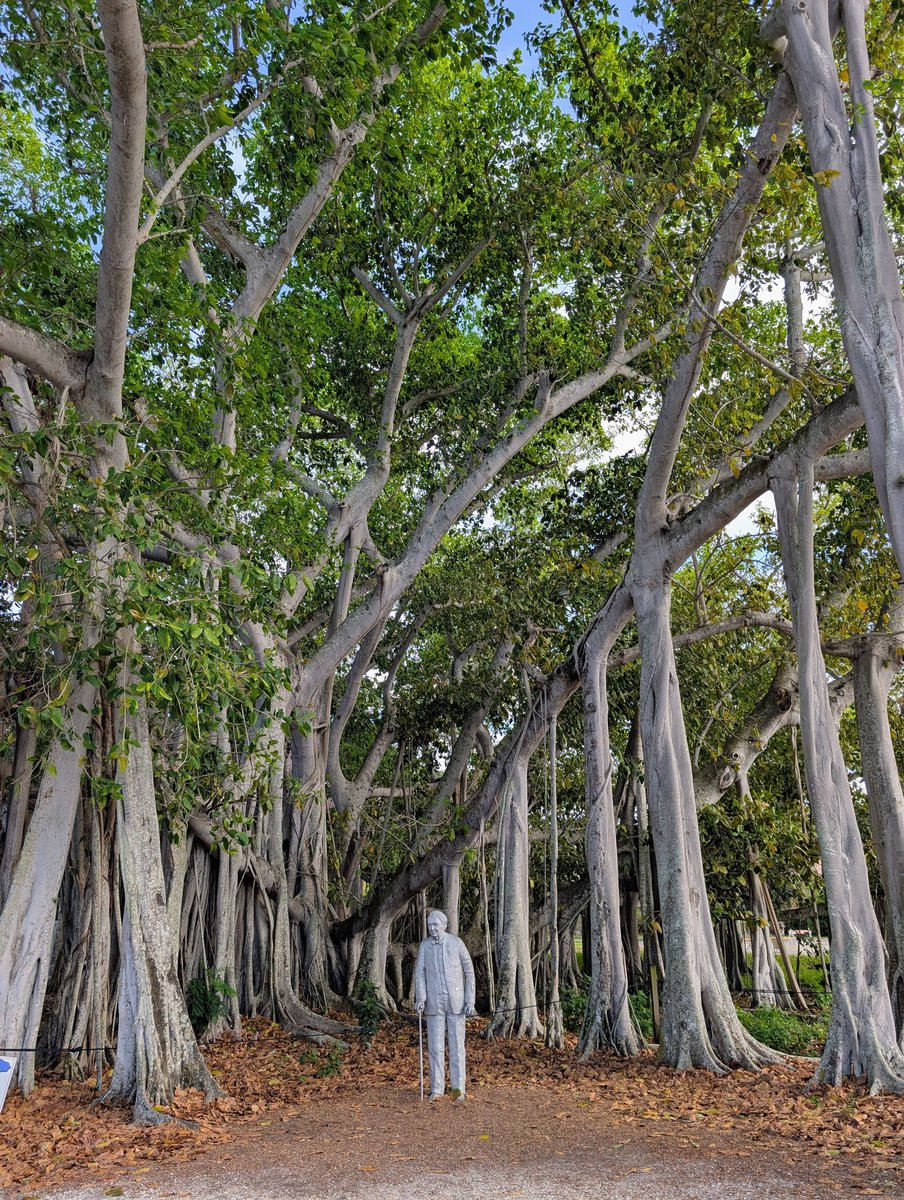 Tony Hom tweet media