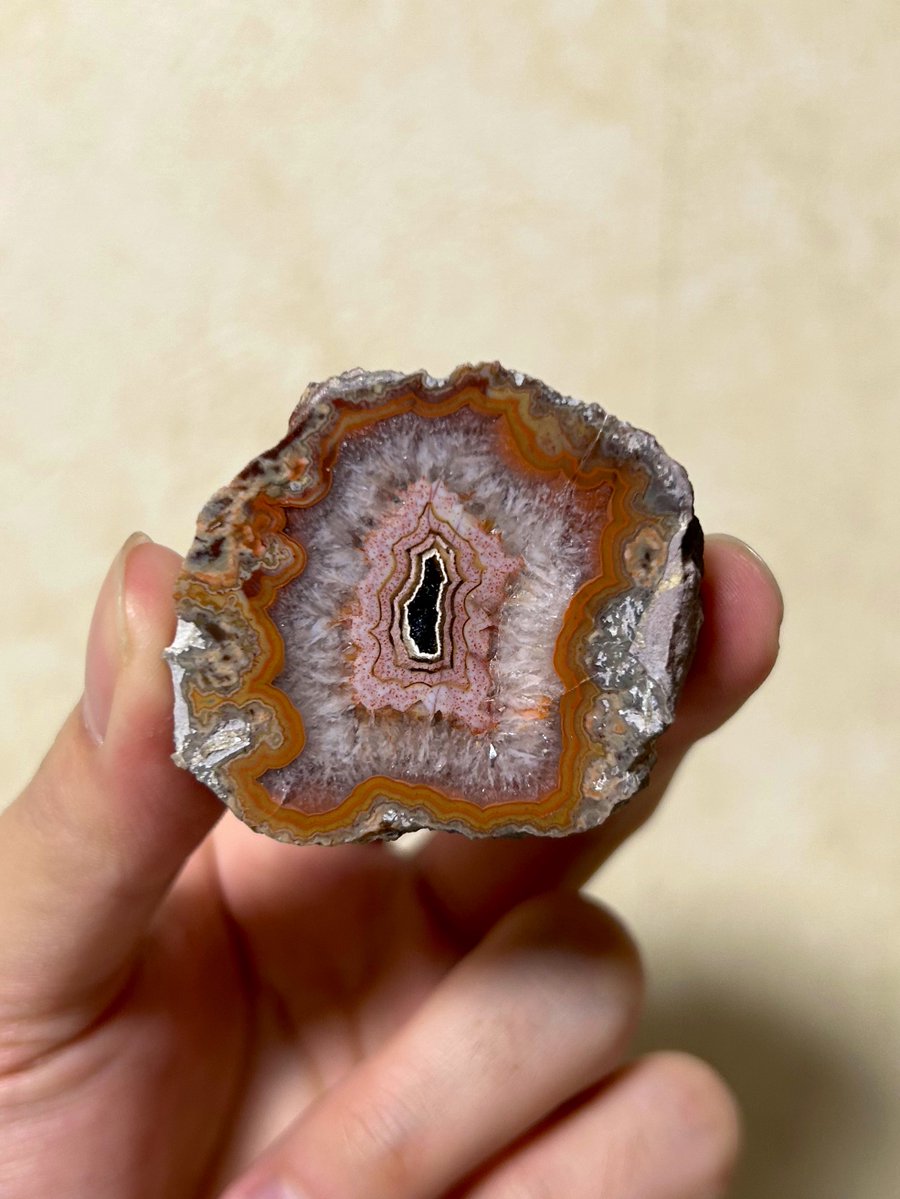 なっちゃんʕ•̫͡•ʕ•̫͡•ʔ tweet media