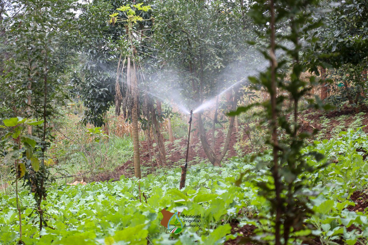 National Irrigation Authority tweet media