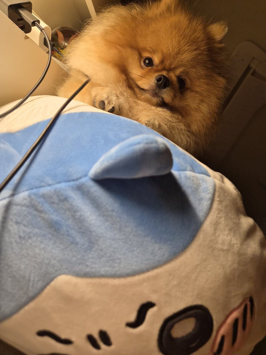 양개이cctv tweet media