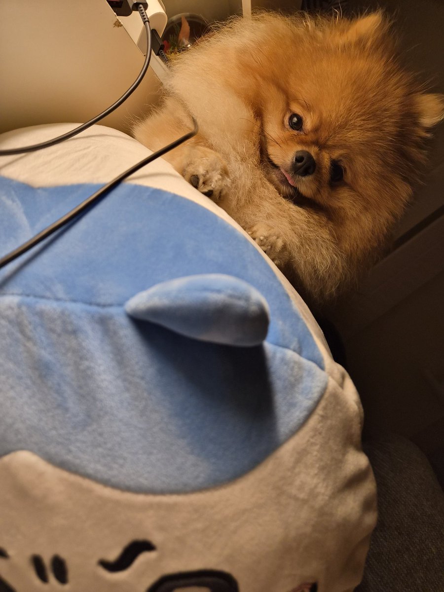 양개이cctv tweet media