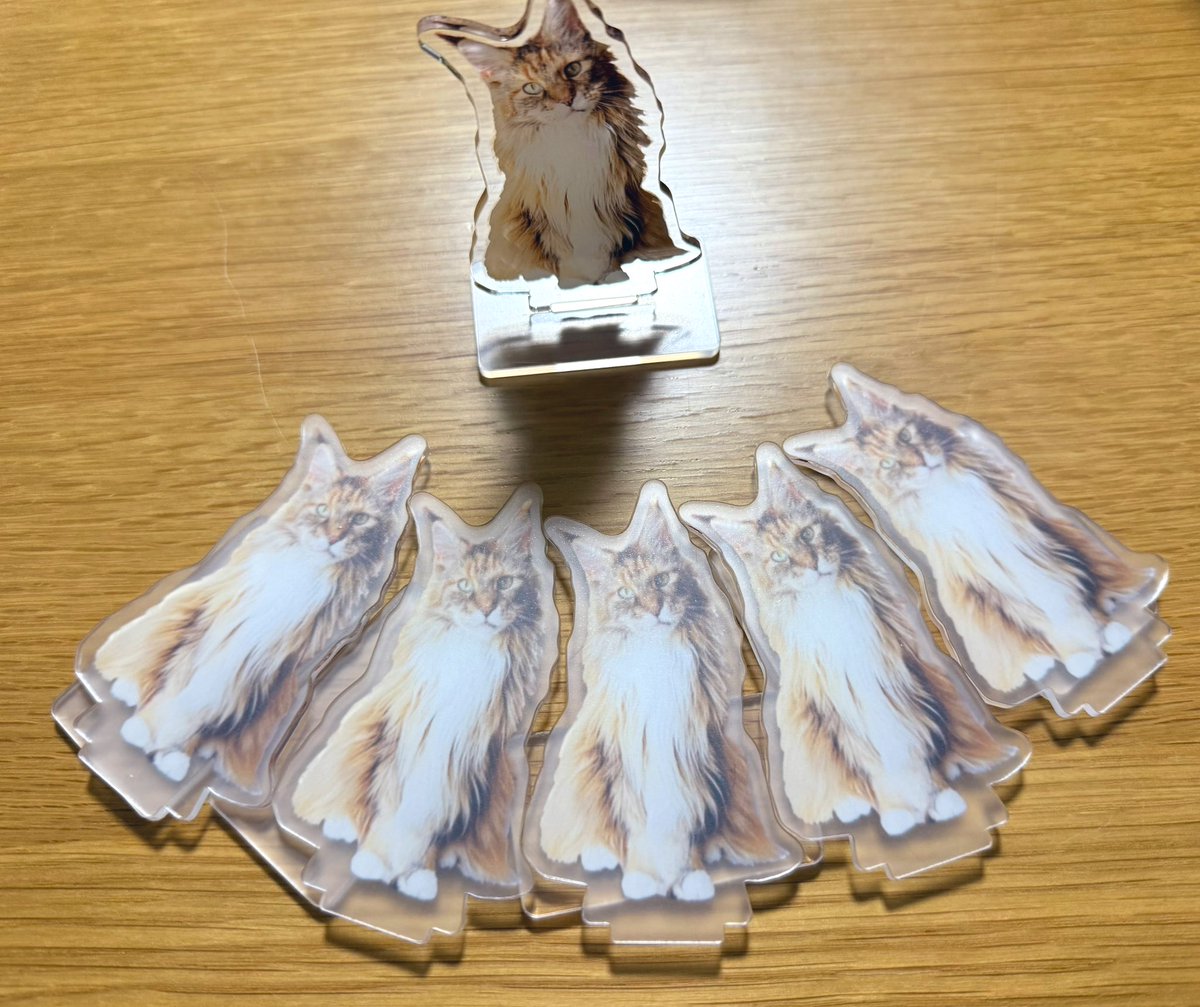 995(ｷｭｳｷｭｳｺﾞ) tweet media