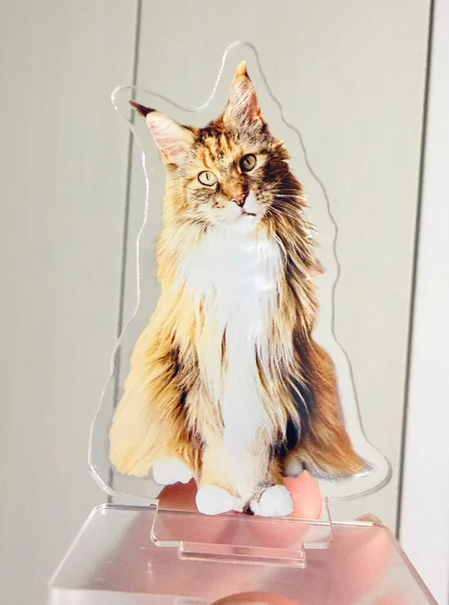 あと個人的に欲しくて作ったおもちアクスタめっちゃかわいい!!(スーパー親バカ) 一緒にお出かけして写真撮ろ〜 お出かけ用、保存用、実家にあげる用で3つ残るけど販売する…か??(1000円くらいになっちゃうけど)