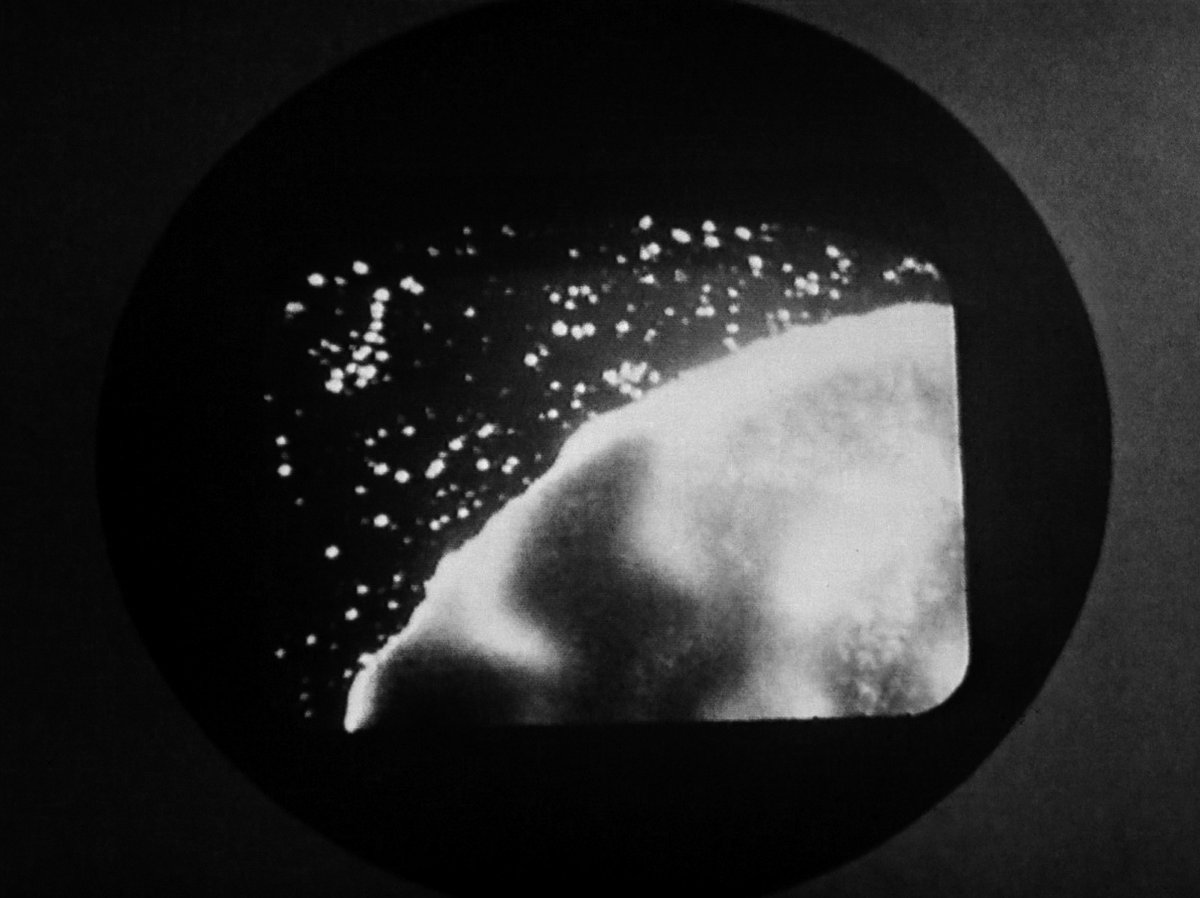 Richard Bignell tweet media