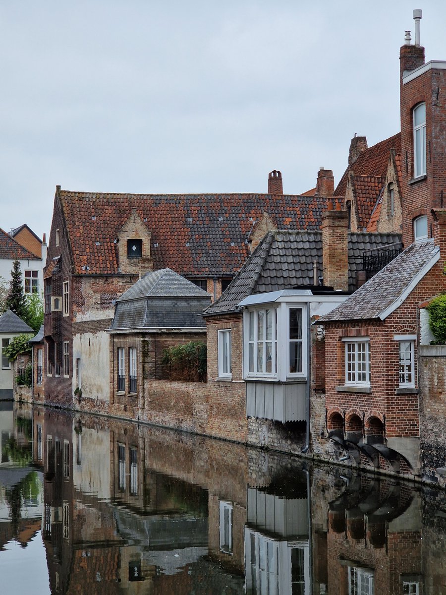 Petr ᶜᶻᐟᵘᵃ tweet media