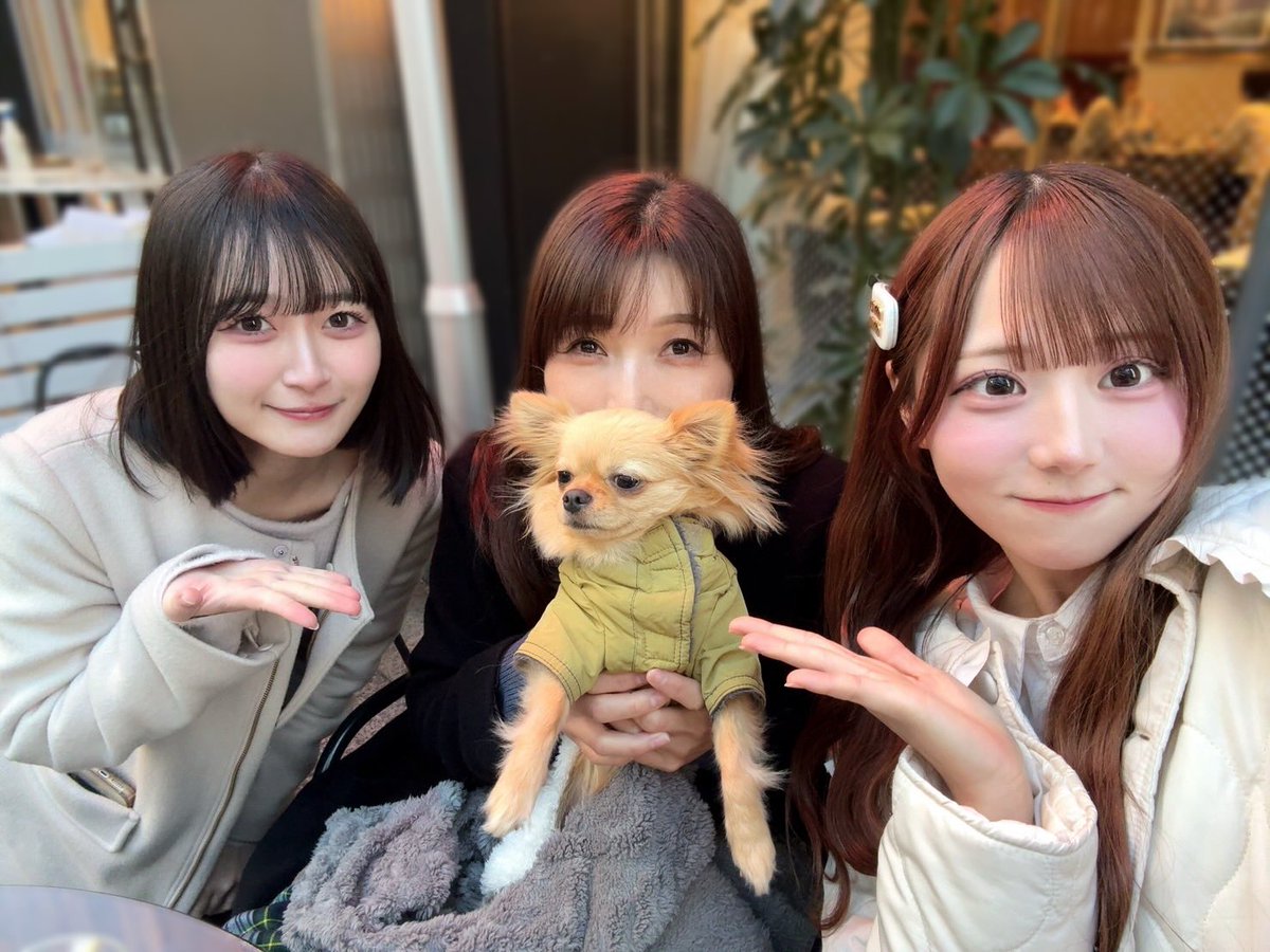 宮野芹(みやのせり) tweet media