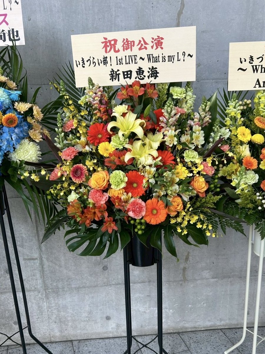 宮野芹(みやのせり) tweet media