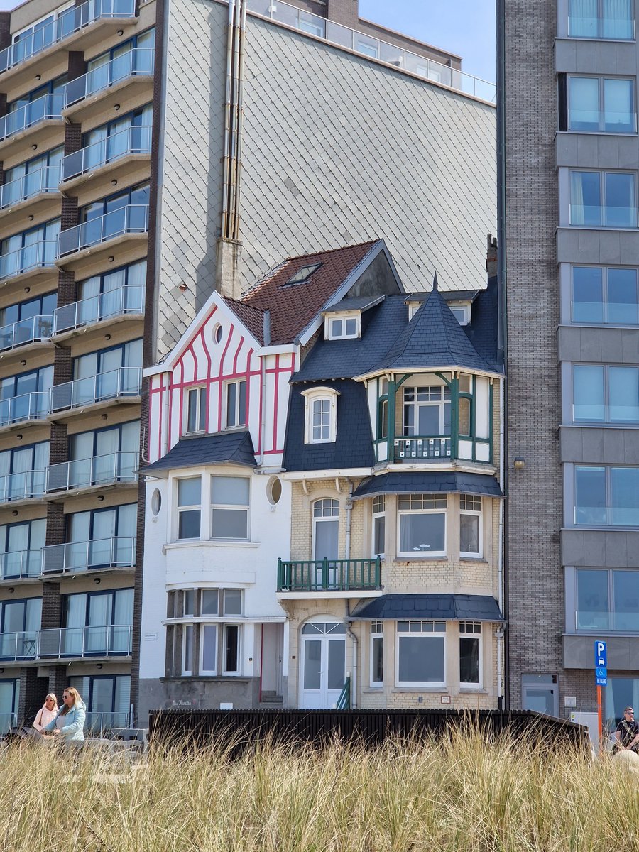 Petr ᶜᶻᐟᵘᵃ tweet media