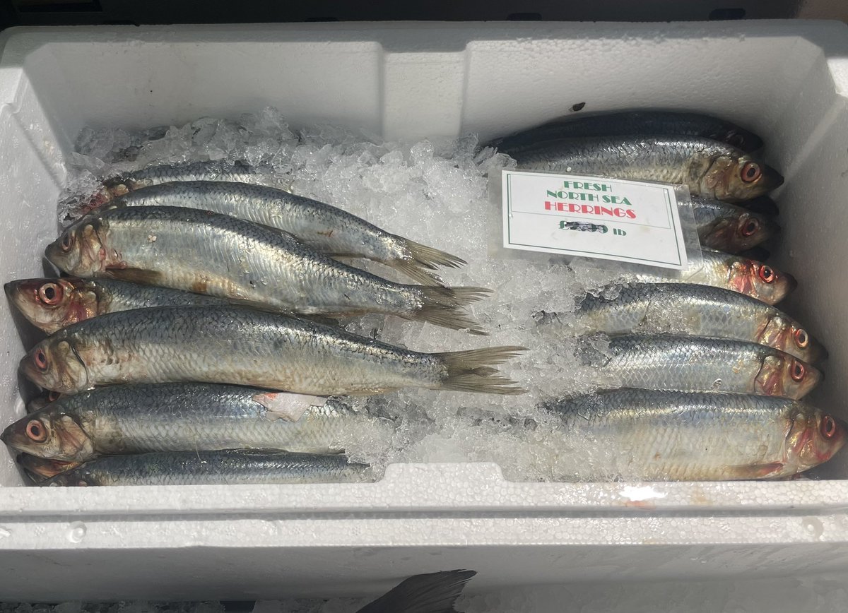 Herripedia tweet media