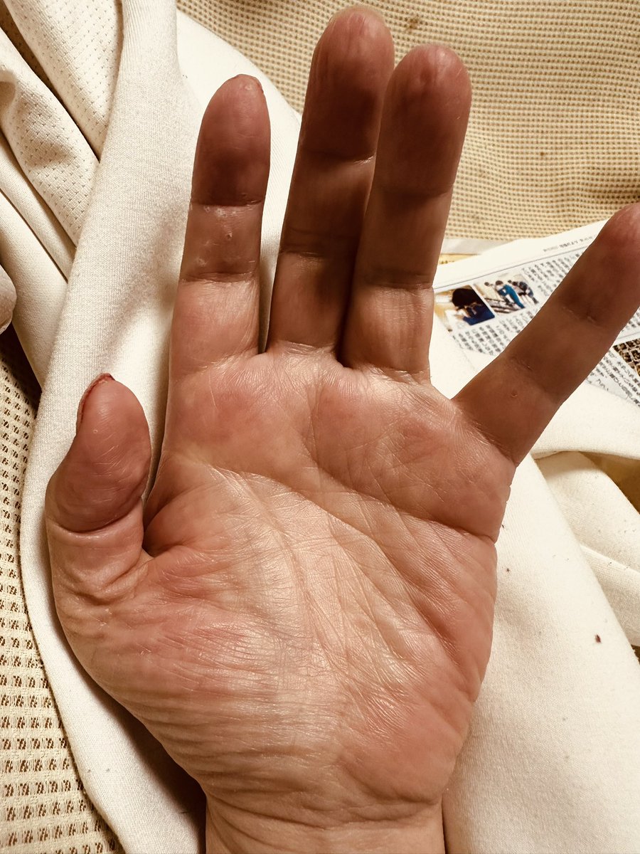 戎橋政造 tweet media