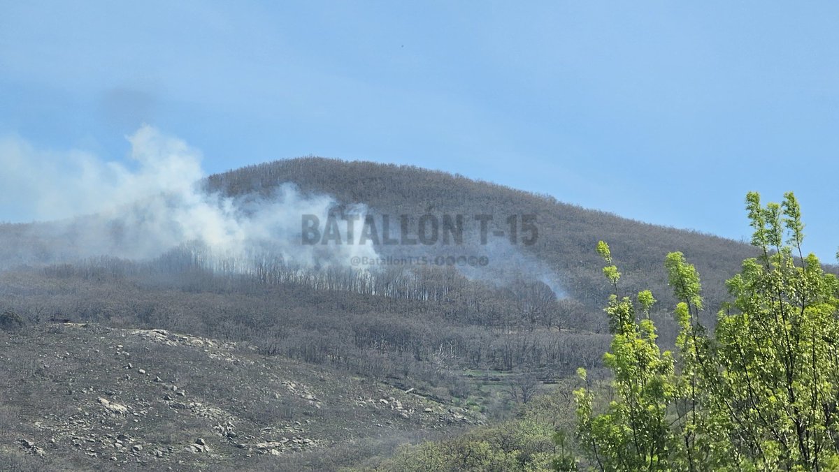 Batallón T-15 tweet media