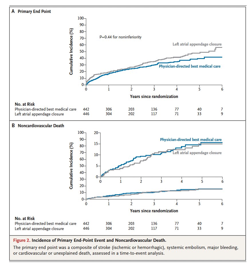 ESC Council on Stroke Chairperson tweet media