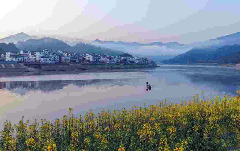 Hans Solo tweet media