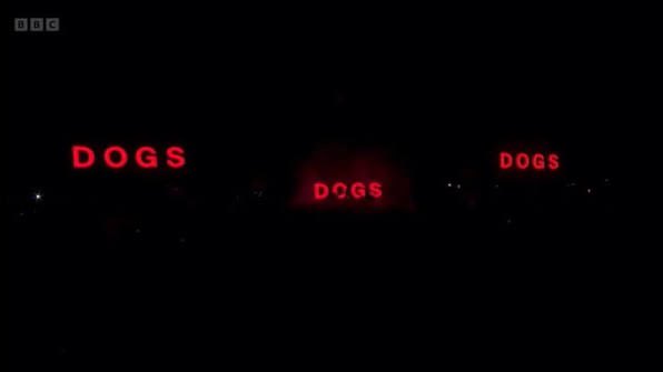 becca ⎕ tweet media