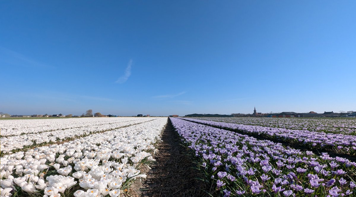 Ed v. Pelt tweet media