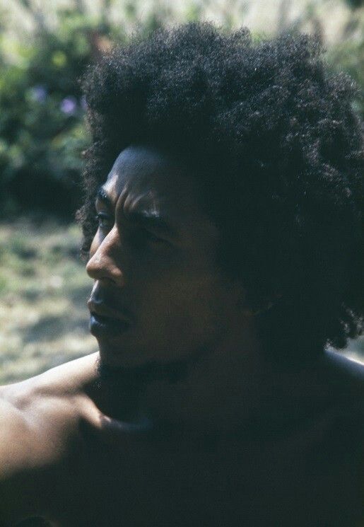 Soul Rebel Bob tweet media