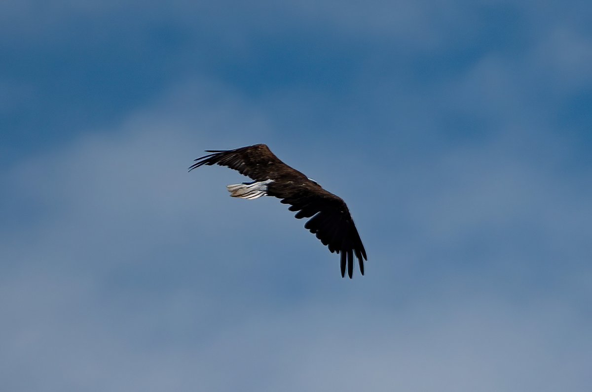 Thursday group 2!!

Follow and repost!!!

<a href="/CarolakaLilC/">AmericaFirstEagle</a> 

<a href="/TMGUSA92/">Echo of my 4Fathers</a> 

<a href="/NettoJulie28221/">Julie Netto</a> 

<a href="/MSDixie1717/">MSDixie</a>