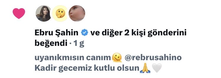 leyla tweet media