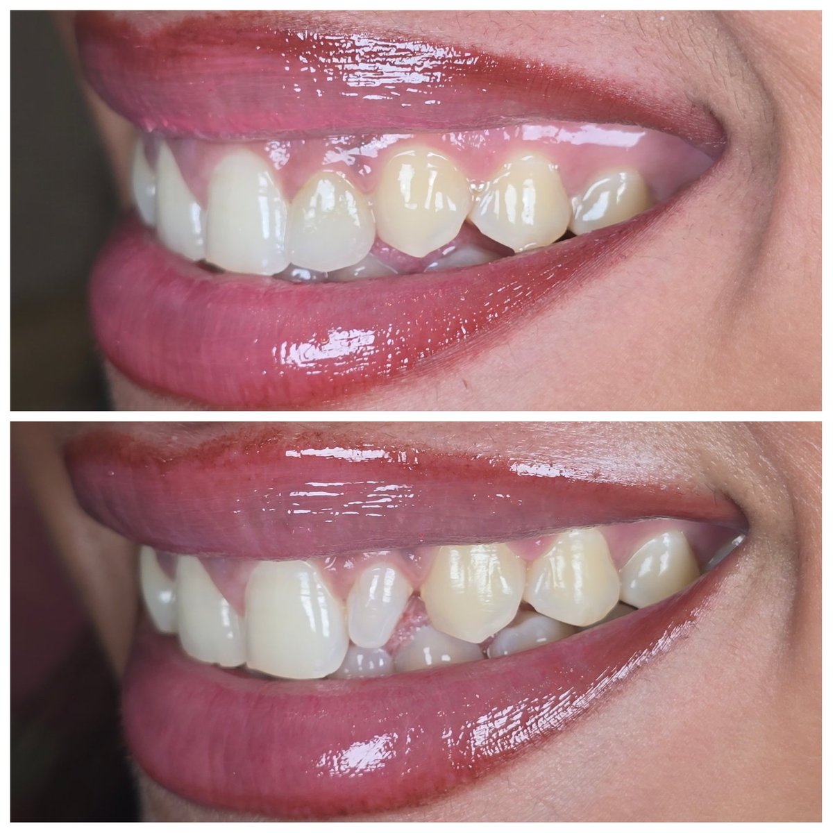 mustafa kurdi tweet media