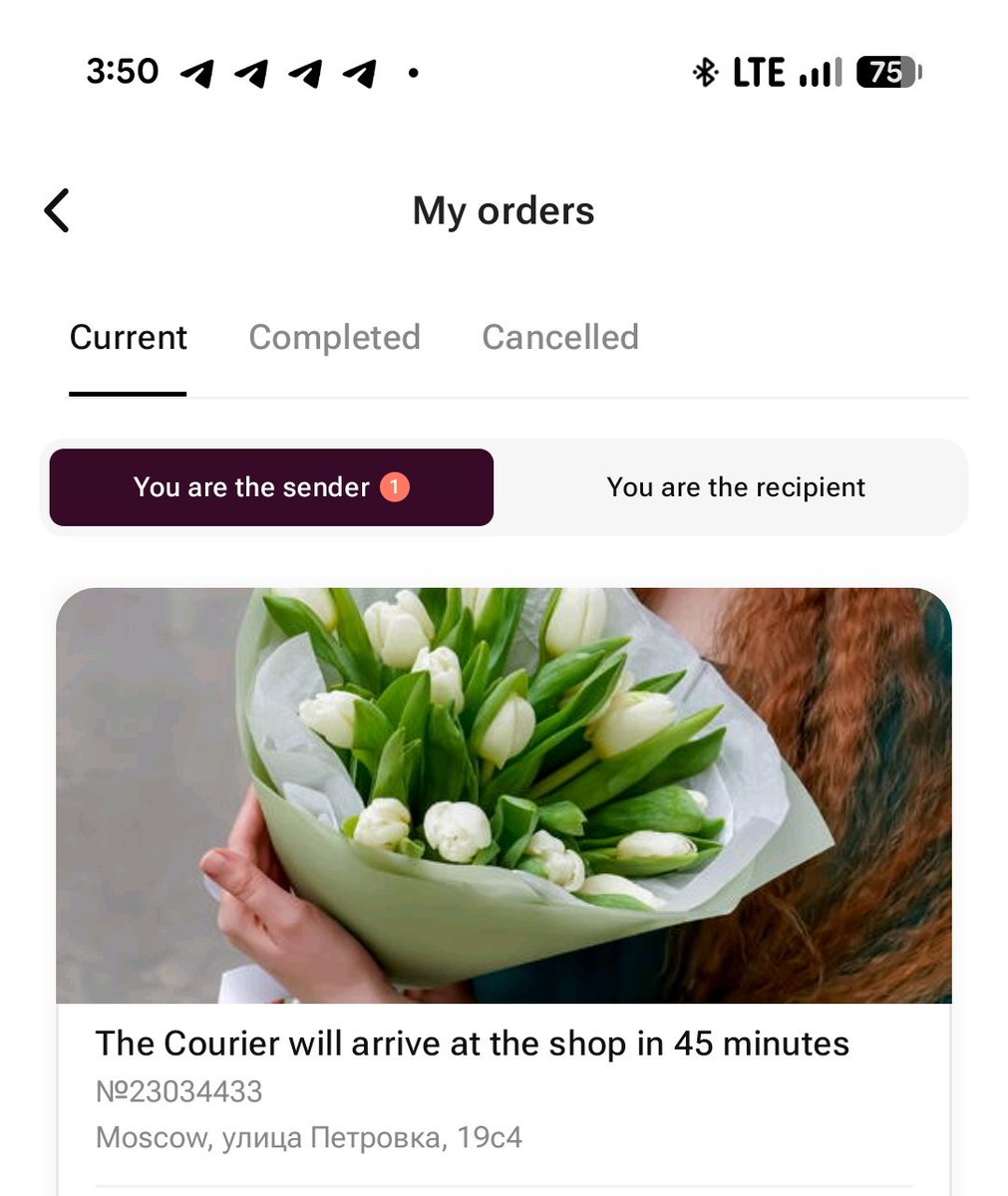 Лосось в кустах черники tweet media