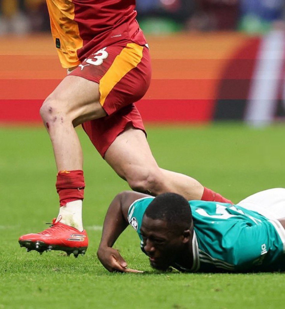 Elif Seda Güler tweet media