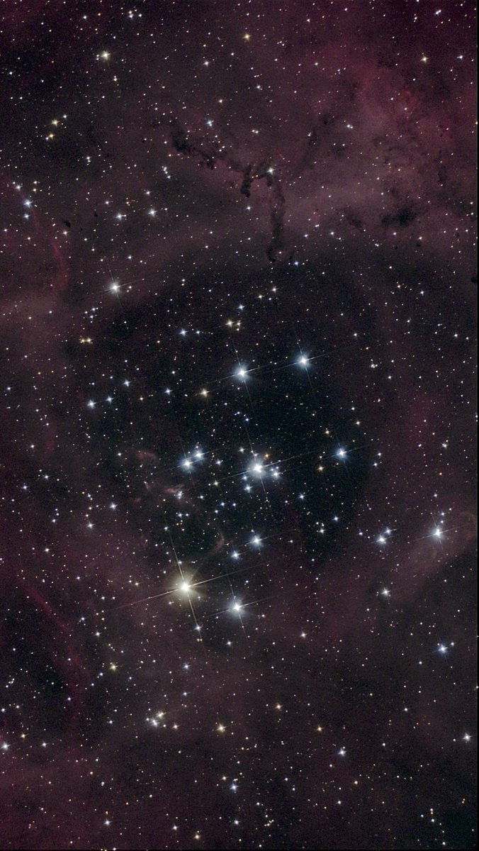 たいやき🐟 tweet media