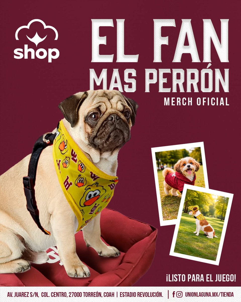 Moda Patitas tweet media