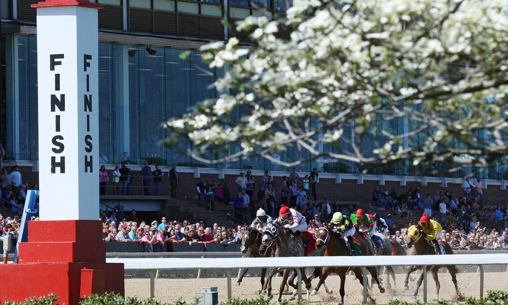 Conley Ecclestone tweet media